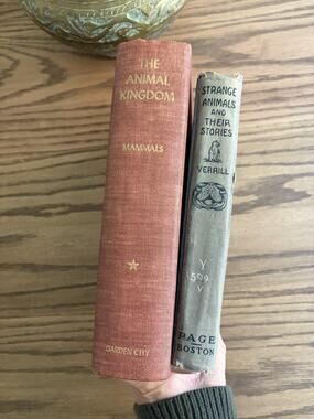 Vintage Animal Books Strange Animals and Animal Kingdom Hardcover Books